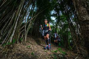 BIB: 
                            <button type="button" onclick="openModal(19395659)" class="btn btn-primary btn-sm float-right btn-popup" data-toggle="modal" data-target=".modal-high-quality">
                        <i class="fas fa-shopping-cart"></i> Add to Cart
                    </button>
                                            <button type="button" onclick="isThisMe(19395659, true)" class="btn btn-success btn-sm float-right btn-popup btn-isme hidden" data-toggle="tooltip" data-placement="bottom" title="นี่คือรูปของคุณใช่ไหม คลิกที่นี่เพื่อเอาเข้าอัลบั้ม">
                        <i class="fas fa-plus"></i> Add to album
                    </button>
                    <button type="button" onclick="isThisMe(19395659, false)" class="btn btn-warning btn-sm float-right btn-popup btn-isnotme hidden">
                        <i class="fas fa-ban"></i> Remove from album
                    </button>